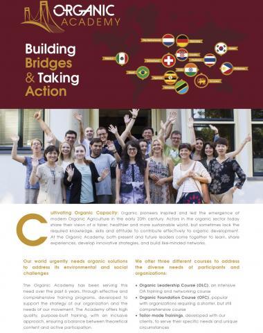 Building Bridges & Taking Action