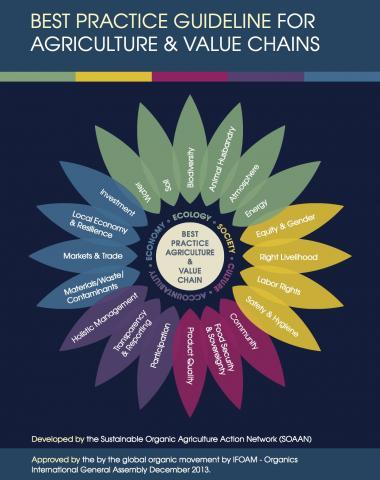 Best Practice Guideline for Agriculture and Value Chains
