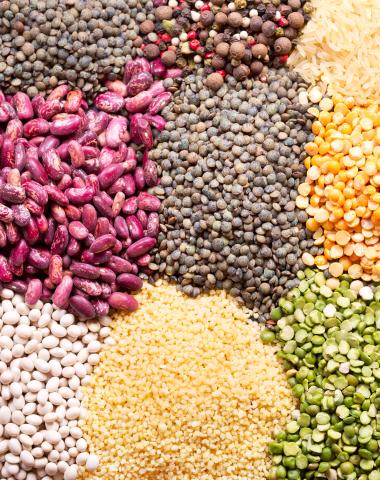 different seeds and grains