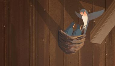 Where have all the birds gone?