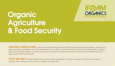 Organic Agriculture & Food Security