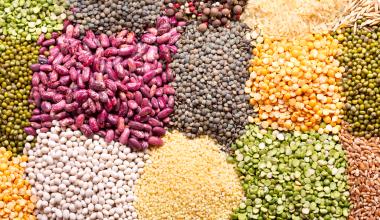 different seeds and grains