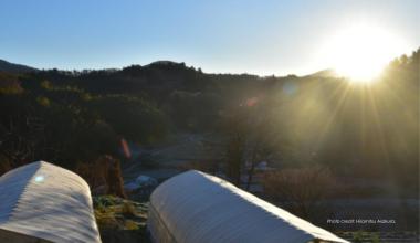 Japan’s Road to a Sustainable and Organic Future