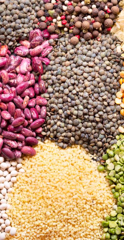 different seeds and grains