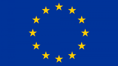 This is the EU Flag