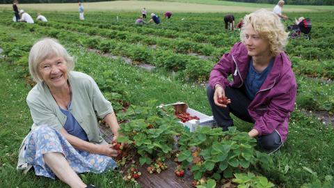 Two generations of farmers meet at a farm