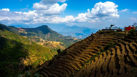 Terrace farming in Nepal