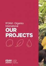 Brochure: Our Projects